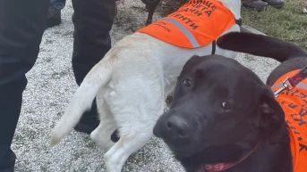 ЛЕВ ИНС се включи в благотворително събитие на фондация „Очи на 4 лапи“ и училището за кучета-водачи