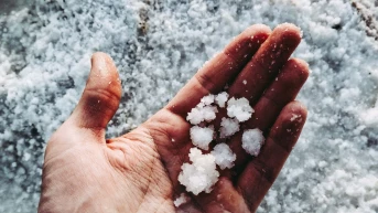 Лев Инс с жест към пострадалите от градушката в пловдивско