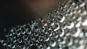 Информация за клиентите на Лев Инс на територията на гр. София